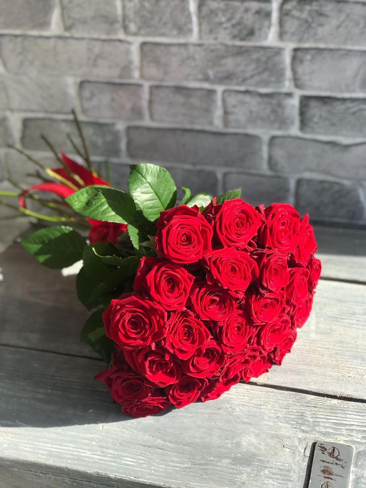 Букет Красные розы Фридом в Донском Тамбовская область