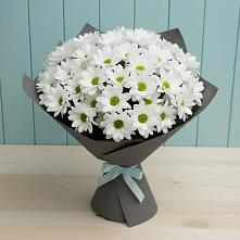 Букет цветов из:  Хризантемы в Донском Тамбовская область