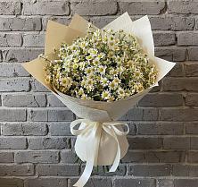 Букет цветов из:  Ромашки в Донском Тамбовская область