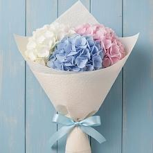 Букет цветов из:  Гортензия #REPLACE_PRED# Донском Тамбовская область