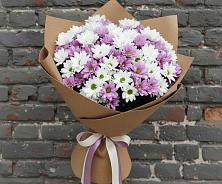 Букет цветов из:  Хризантемы в Донском Тамбовская область