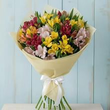 Букет цветов из:  Альстромерии в Донском Тамбовская область