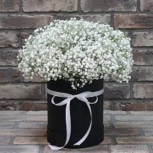 Цветочная композиция из Гипсофила в шляпной коробке в Донском Тамбовская область