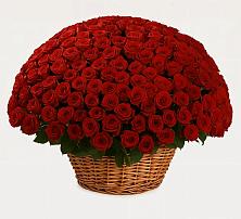 Премиум букет из: Розы в Донском Тамбовская область