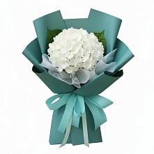 Букет цветов из:  Гортензия в Донском Тамбовская область